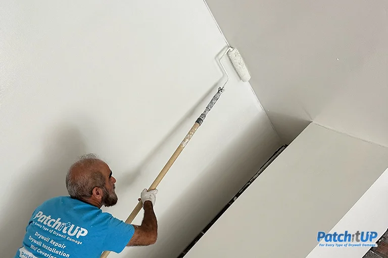 Paint Color Matching