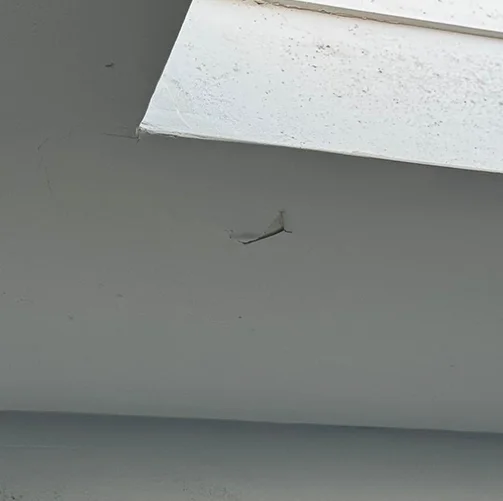 Fixing Chipped and Peeling Paint Fixing Chipped and Peeling Paint