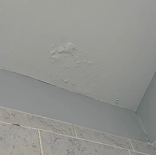 Moisture Damage Drywall Repair Moisture Damage Drywall Repair