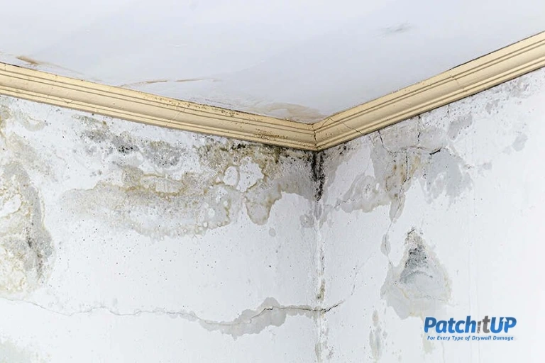 10 Common Drywall Problems and How to Fix Them!