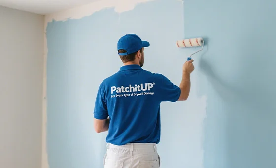 PAINTING MATCHING IN SPRING BRANCH PAINTING MATCHING IN SPRING BRANCH