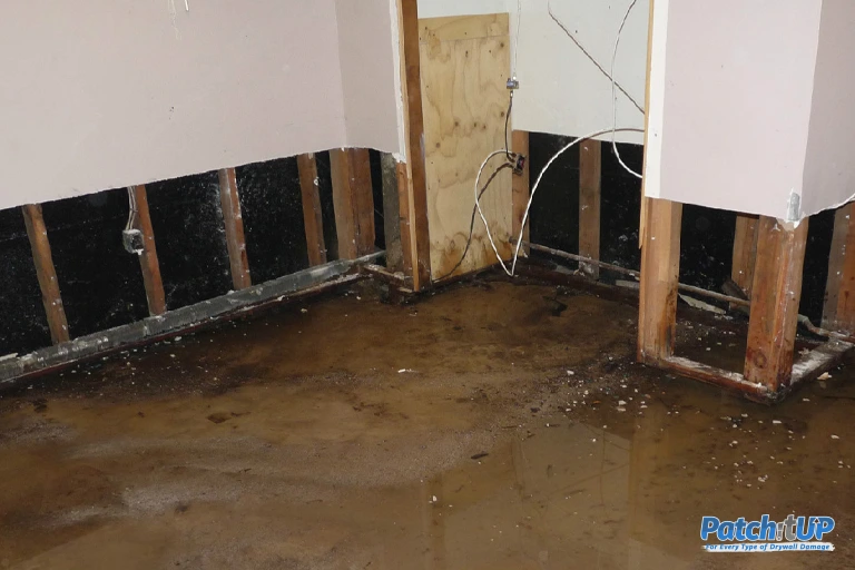 Flood-Proof Walls: Drywall Solutions for Water-Prone Homes!