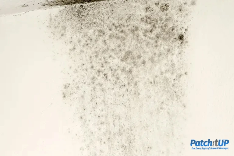 Drywall Innovations 2025: Smart Materials 