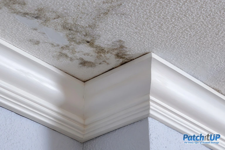 The Most Common Ceiling Repairs and How Professionals Handle Them!