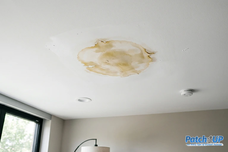 Why Do Ceiling Stains Keep Coming Back Even After Painting?