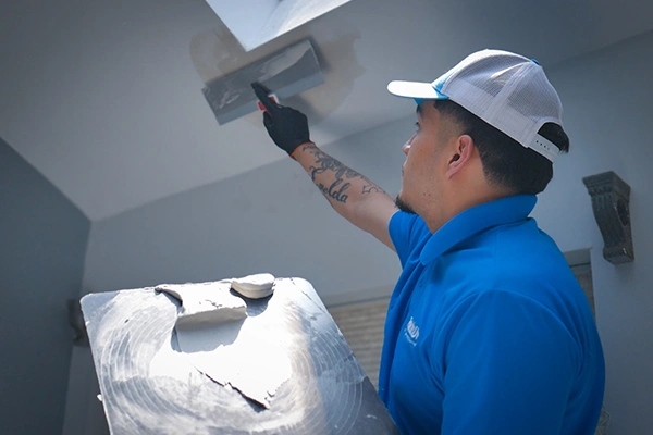 Plaster Repair